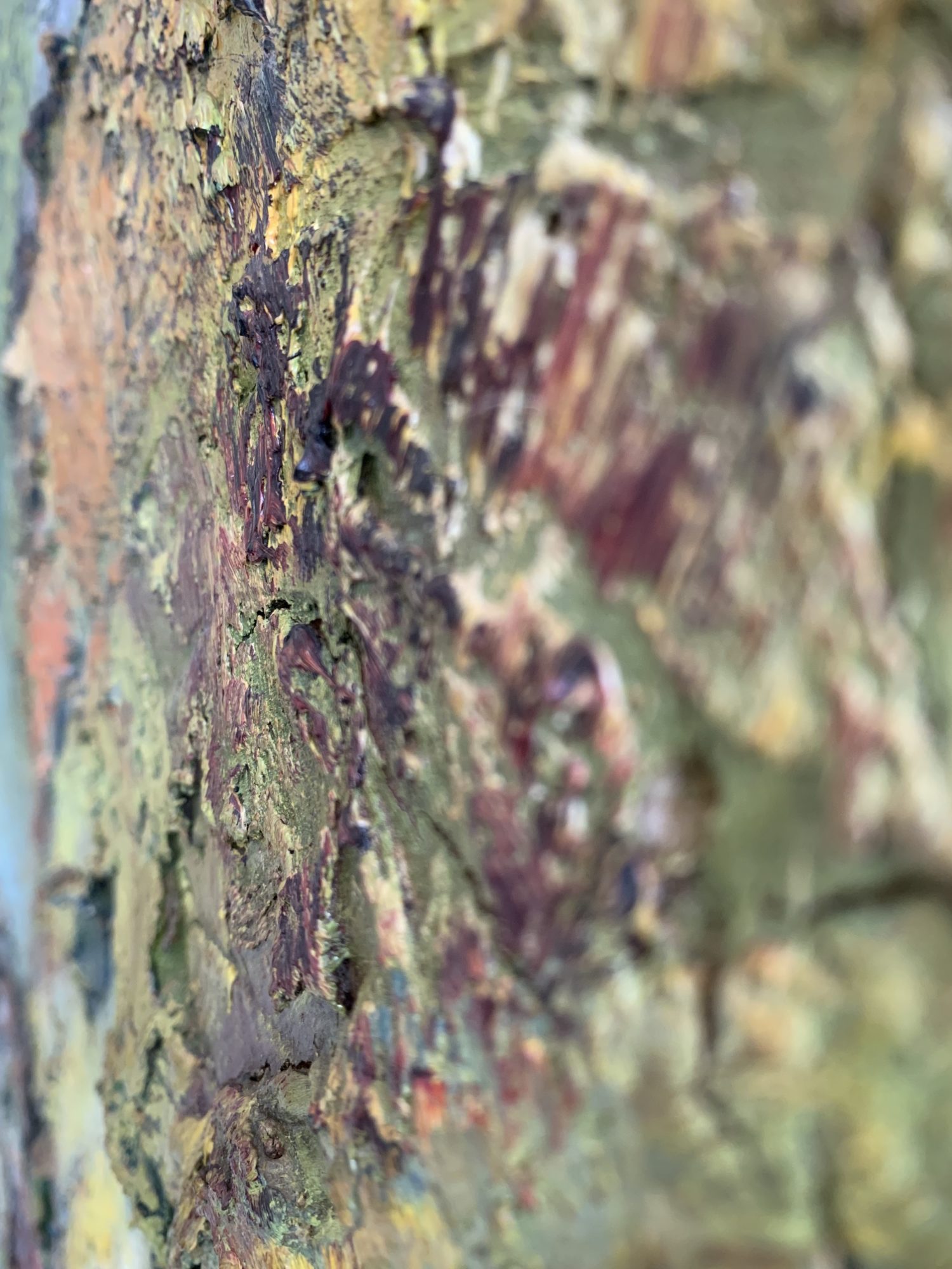 Willy Welter, große Komposition. – Bild 10