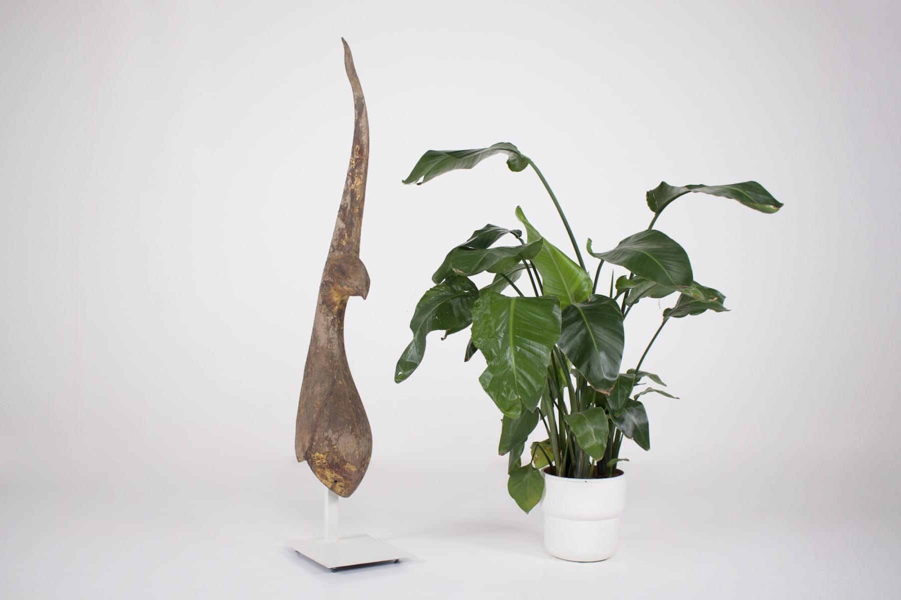 Un chofa ancien de Claude de marteau posé à côté d'une plante verte
