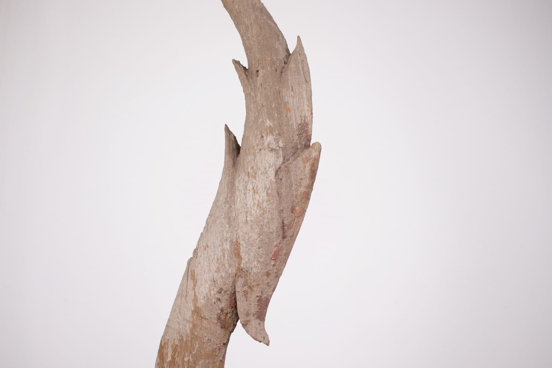 Détail de la tête de Nagad'un chofa antique