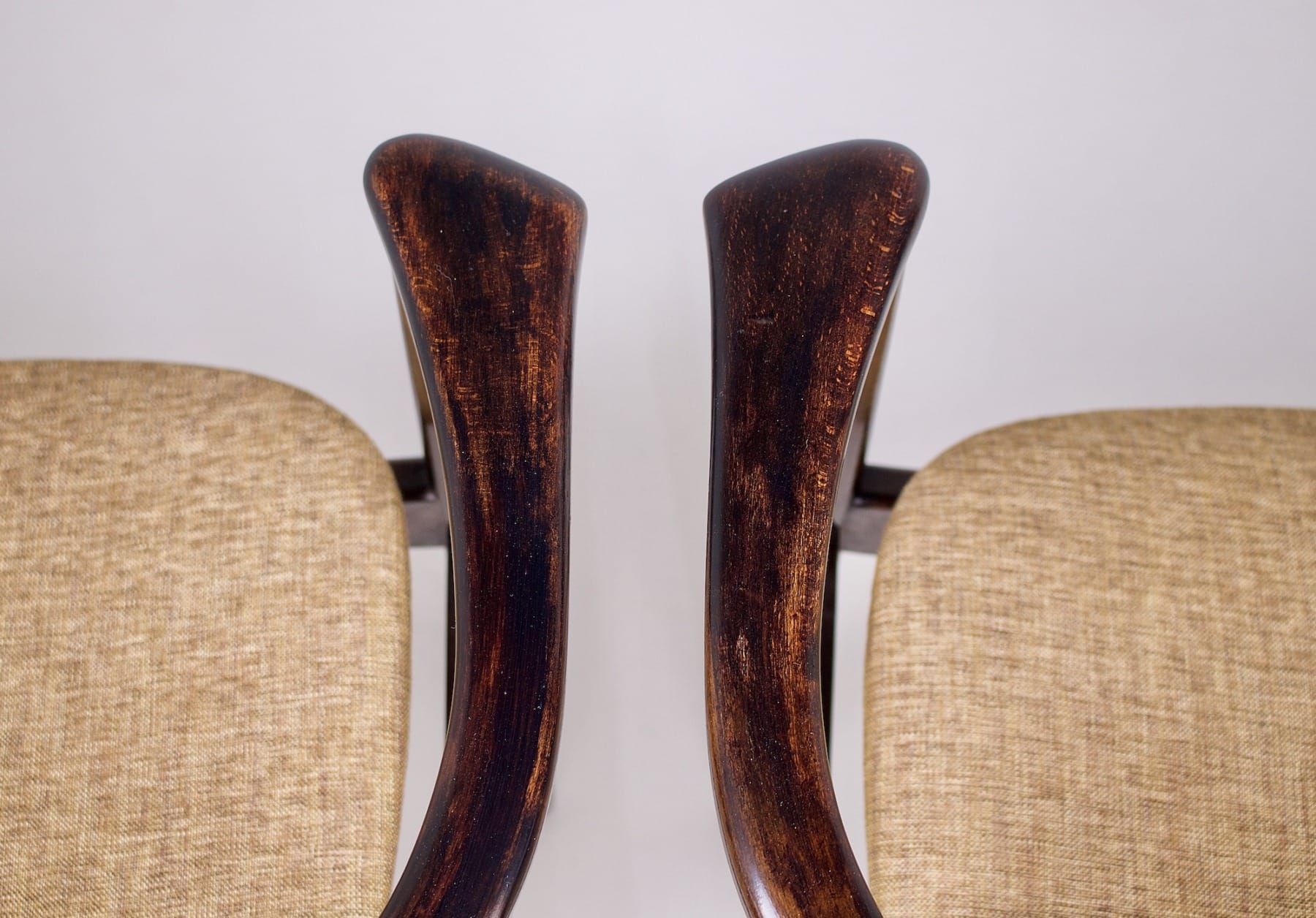 Le dessin du hêtre sur les accoudoirs des fauteuils Hartmut Lohmeyer