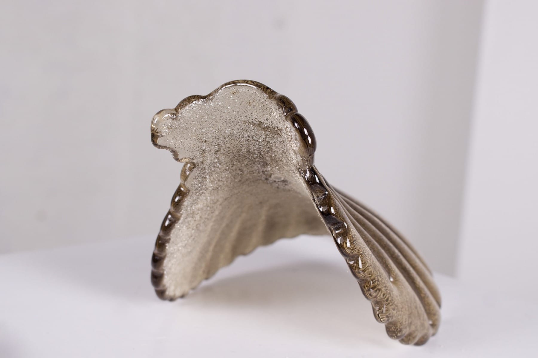 Une forme de coquillage