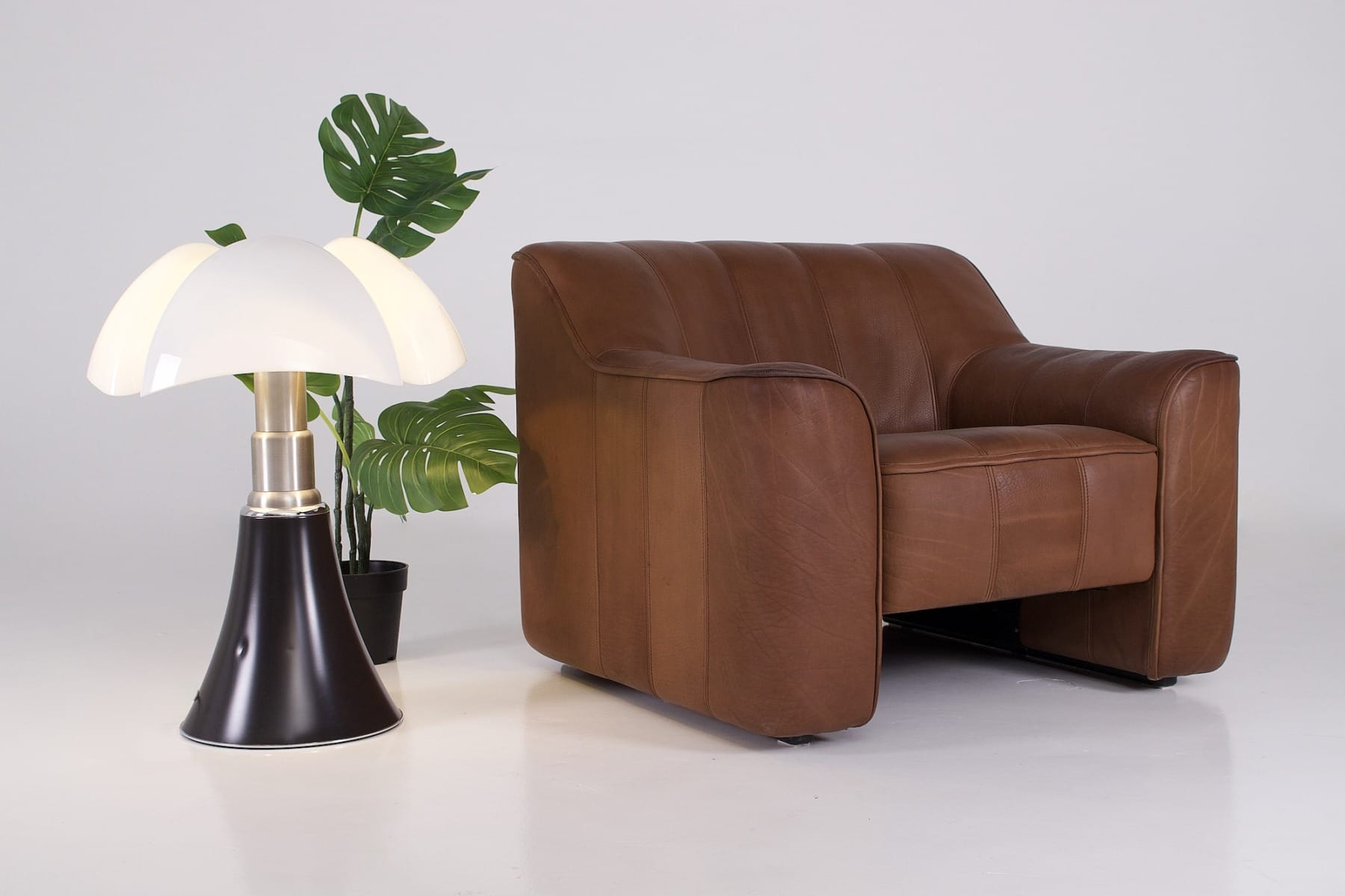 Le fauteuil de Sede DS 44 Buffalo Neck Leather aux côtés d'une lampe Pipistrello et d'une plante