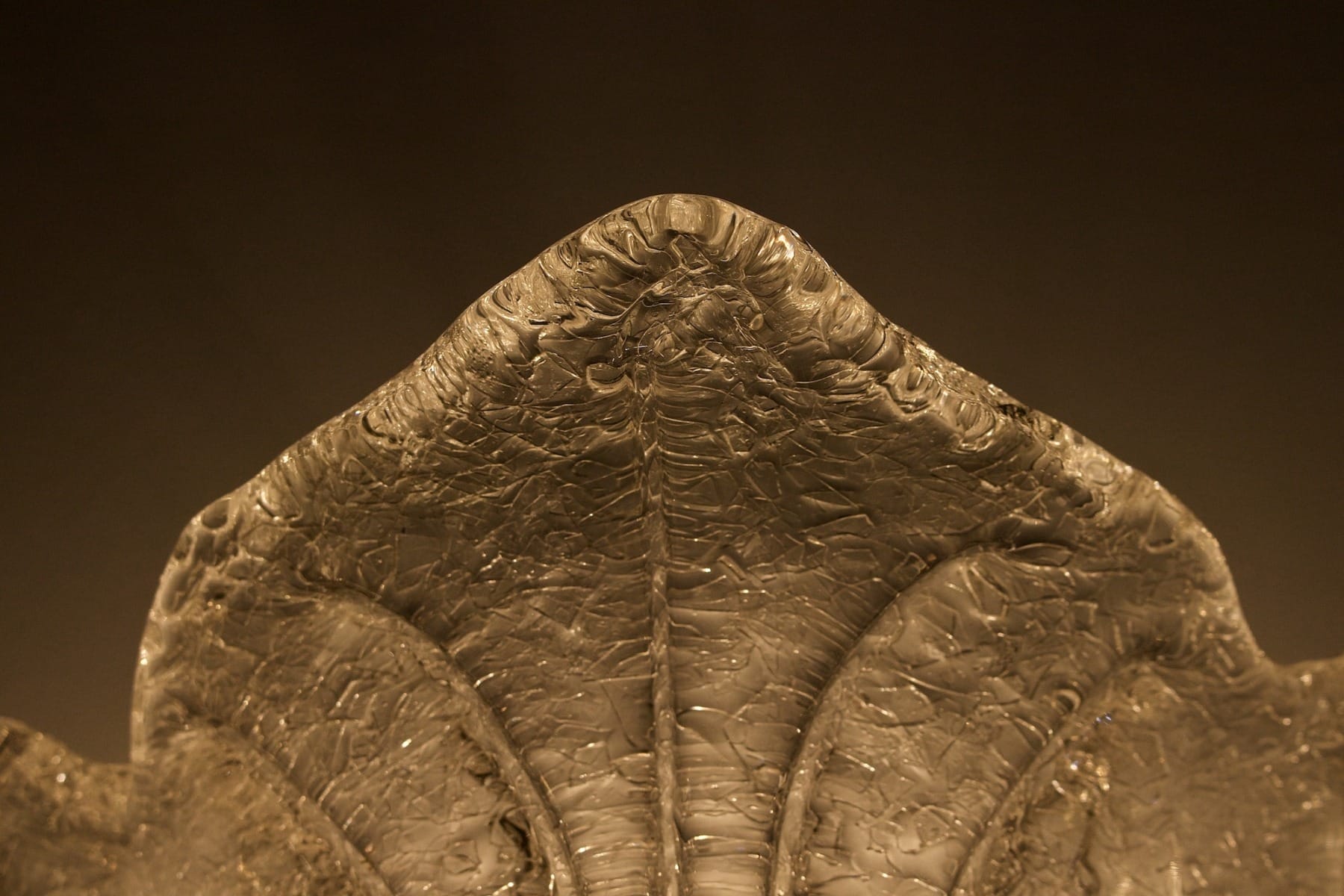 Gros plan d'un des bords d'une applique acanthe éclairée